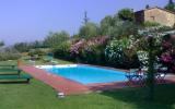 Holiday Home Pisa Toscana: Holiday House (6 Persons) Lucca/pisa, Lucca ...
