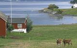 Holiday Home Norway Waschmaschine: Holiday Cottage In Ytterøy Near ...
