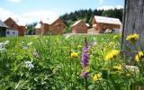 Holiday Home Steiermark: Hagan Lodge Alpina Comfort In Altaussee, ...