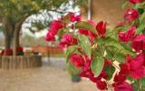 Holiday Home Spain Air Condition: Holiday House (4 Persons) Mallorca, ...