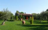Holiday Home Scarlino Waschmaschine: Holiday Home (Approx 45Sqm), ...