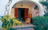 Holiday Home Italy: Holiday Home (Approx 20Sqm) For Max 2 Persons, Italy, Pets ...