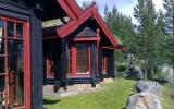 Holiday Home Buskerud Radio: Holiday House In Hemsedal, Fjeld Norge For 18 ...