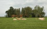 Holiday Home Friesland: Bonnehof In Westergeest, Friesland For 6 Persons ...