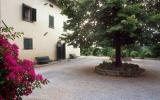 Holiday Home Cortona: Pino In Cortona, Toskana For 3 Persons (Italien) 