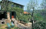 Holiday Home Pisa Toscana: Fattoria Di Pietrabuona: Accomodation For 4 ...