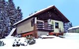 Holiday Home Thuringen: Holiday House 