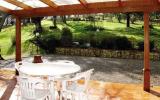 Holiday Home Firenze: Villa Faltona: Accomodation For 12 Persons In Borgo San ...