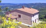 Holiday Home Umbria: Caicocci Trilocinque In Umbertide, Umbrien For 5 ...