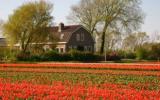Holiday Home Eenigenburg Solarium: Merci In Eenigenburg, Nord-Holland For ...
