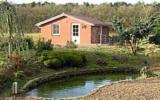 Holiday Home Netherlands: Le Petit Miracle In Well, Limburg For 2 Persons ...