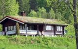 Holiday Home Telemark Radio: Holiday House In Åmdals Verk, Syd-Norge ...