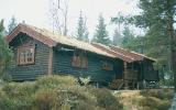 Holiday Home Aust Agder: Holiday Home For 6 Persons, Skranevatn/hornnes, ...