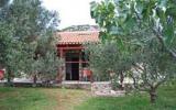 Holiday Home Zagrebacka: House Olive Tree In Pasman, Kroatische Inseln For 6 ...