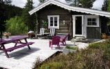 Holiday Home Telemark: Accomodation For 6 Persons In Telemark, Dalen, ...