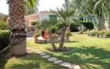 Holiday Home Marzamemi: Holiday Cottage - Ground Floor Villa 3 Palme In ...