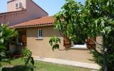 Holiday Home Languedoc Roussillon: Terraced House (6 Persons) Pyrénées ...