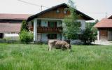 Holiday Home Germany: Huber In Steingaden, Oberbayern / Alpen For 5 Persons ...