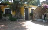 Holiday Home Puglia Sauna: For Max 3 Persons, Italy, Pets Not Permitted 