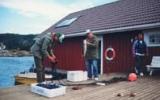 Holiday Home Vest Agder: Holiday Home (Approx 45Sqm), Flekkefjord For Max 4 ...