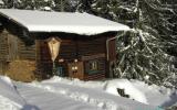 Holiday Home Hippach: Holiday Home (Approx 100Sqm), Hippach/zillertal For ...