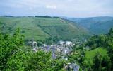 Holiday Home Auvergne: Chaudes Aigues 3P6 
