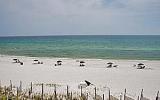 Holiday Home Destin Florida: Beach House Condominium B303B Us3020.1384.1 