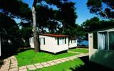 Holiday Home Istarska: Indije (Hr-52100-50) 