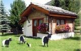 Holiday Home Valais Fernseher: Stadel (Ch-3910-40) 