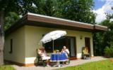 Holiday Home Rheinland Pfalz: Vulkaneifel Type A 