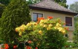 Holiday Home Geneve: Genève Ch1200.500.1 