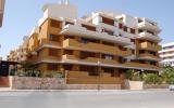 Holiday Home Comunidad Valenciana: App. Punta Prima A (Es-03185-02) 
