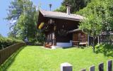 Holiday Home Lienz Tirol: Chalet Sonnrasthütte (At-9900-01) 