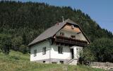 Holiday Home Steiermark: Am Fuchsberg (At-8953-04) 