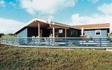 Holiday Home Søndervig: Søndervig Dk1040.1289.1 