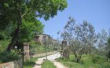 Apartment Toscana Fernseher: Cosy Holiday House In The Green Hills Of The ...
