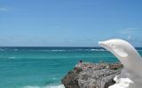 Villa Barbados Safe: Romantic Oceanfront Villa On Pristine Secluded Beach 