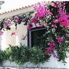 Villa Portugal Safe: Spacious 4 Bed Villa With Private Pool And Extensive ...