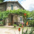 Villa Toscana: Charming Rustic Villa With A Spectacoular View, Among The Olive ...