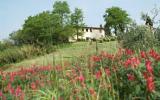 Villa Italy: Traditional Tuscan Villa With 10Bedrooms Half Way From Pisa And ...