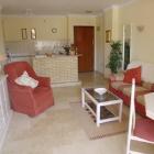 Apartment Andalucia: Palm Beach Apartment & 2 Pools In Los Boliches, ...