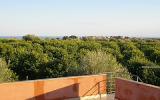 Villa Noto Marina Radio: Cozy Casa On The Southern Coast Of Sicily On The Edge ...