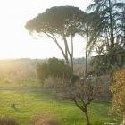 Apartment Toscana: Apartment On Florence Hills With A Beautiful View 