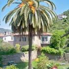 Apartment Liguria: Apartment In Palazzo Of The 17Th Century W/garden, Near Sea 