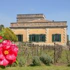 Villa Trecastagni: Country Villa Located On The Southern Side Of Etna, ...