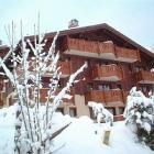 Apartment Rhone Alpes: Luxury Apartment For Up To 6 People Next To Slopes 